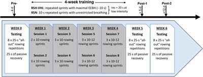 Hypoventilation training including maximal end-expiratory breath holding improves the ability to repeat high-intensity efforts in elite judo athletes